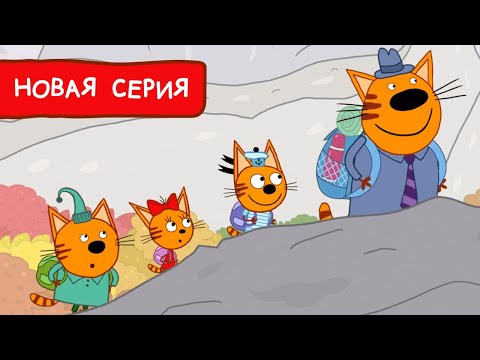 Природа - прогуляться в парке видео (клип)