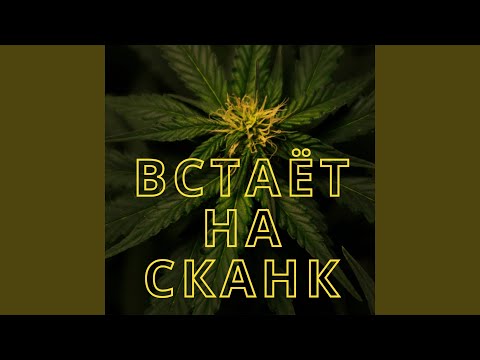 Skank - Все что Сканк хочет видео (клип)