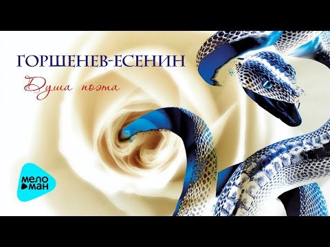 ГОРШЕНЕВ - Душа скорбит видео (клип)