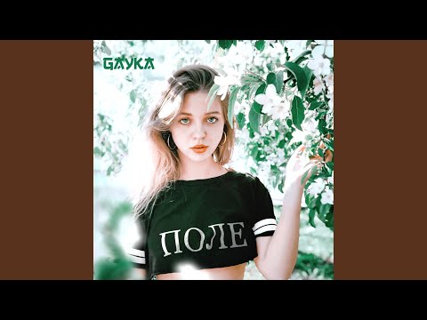 Gayka - Поле видео (клип)