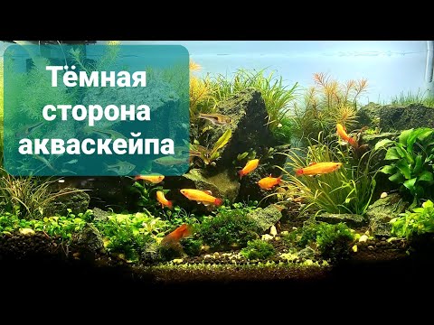 BraiNNe, AQUAPONY - Тёмная сторона видео (клип)