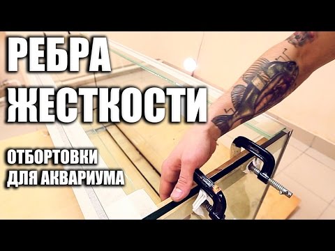 рибс - на места видео (клип)