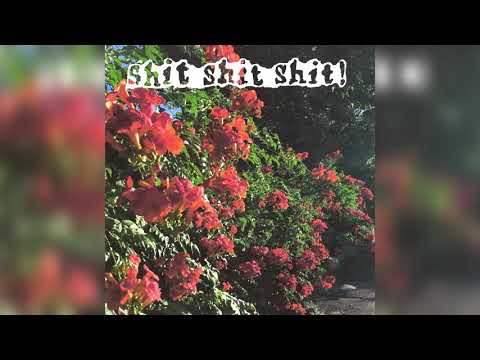 shit shit shit! - злой видео (клип)