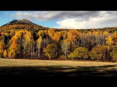 Сергей Бобунец - Хочется жить видео (клип)