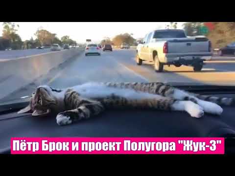 Полугора - Жук-3 видео (клип)