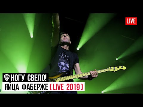 Ногу Свело! - Яйца Фаберже (Live 2019) видео (клип)