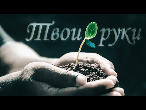 always near - Якоря твоих рук видео (клип)