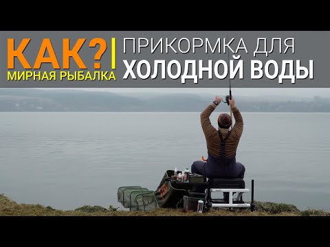 Вис Виталис - Рыбы в холодной воде видео (клип)