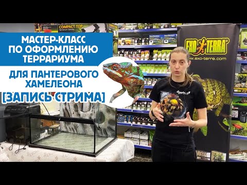 Хамелеон - Демисезон видео (клип)