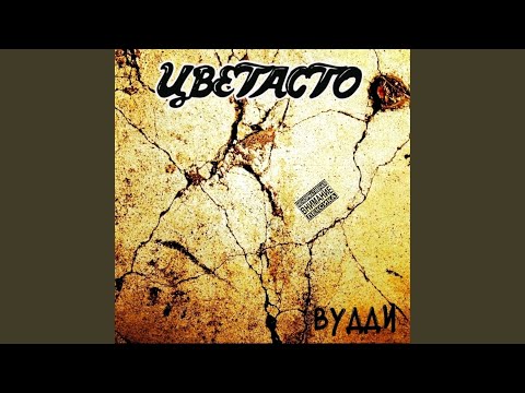 Вудди - Одна история видео (клип)