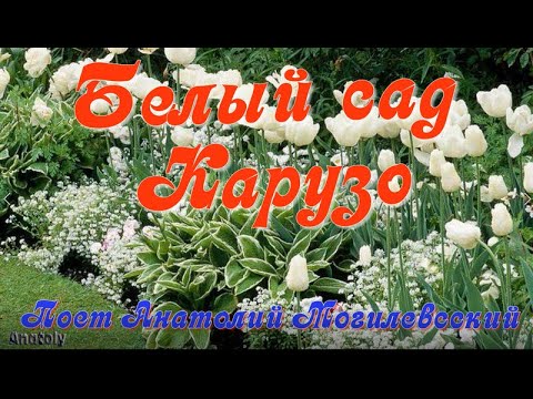 Анатолий Могилевский - Белый сад (Карузо) видео (клип)