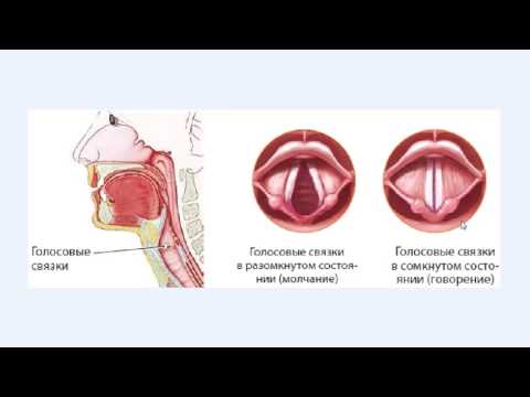 The Pattern - Голос изнутри видео (клип)