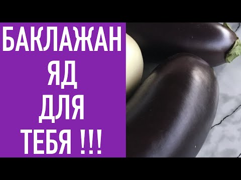 Горечь - Отравление видео (клип)