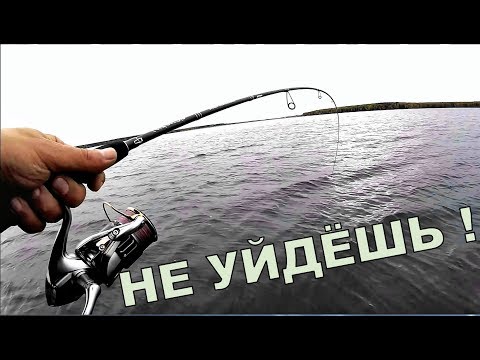 Swingydizz, Kohab - Ловля ветра видео (клип)