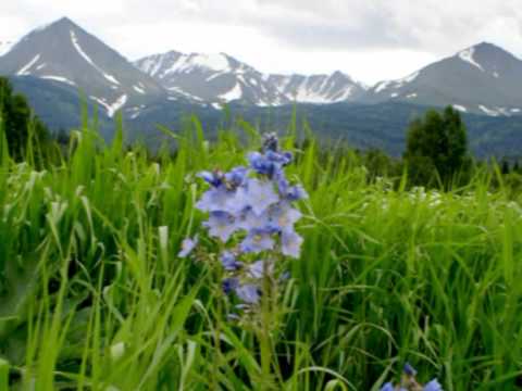 Слава Бобков - Городок таёжный видео (клип)