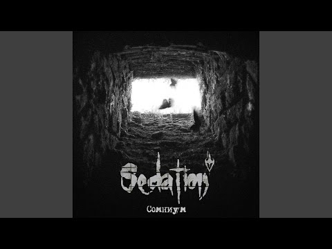 Sedation - Выстрел видео (клип)