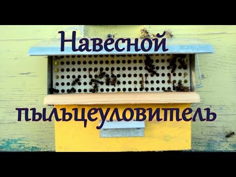 Культульпа - пыльца видео (клип)