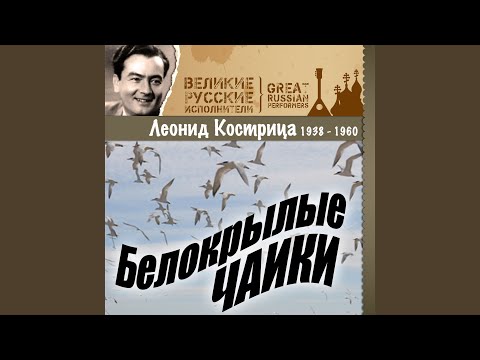 Леонид Кострица - В дорогу видео (клип)