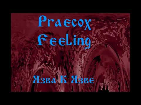 praecox feeling - Язва видео (клип)