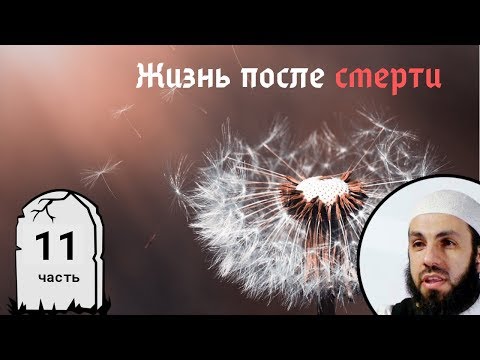 Yad - Девять 11 видео (клип)