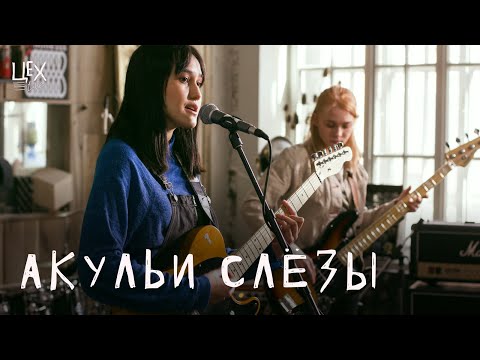 Акульи Слезы - сон видео (клип)