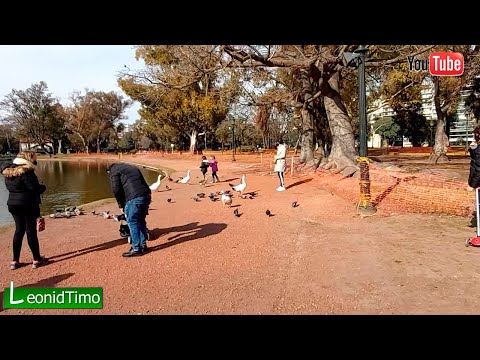 Синтетика, Аргентина - Сколько зим видео (клип)