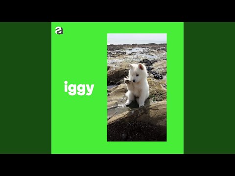 Iggy - Проснись видео (клип)