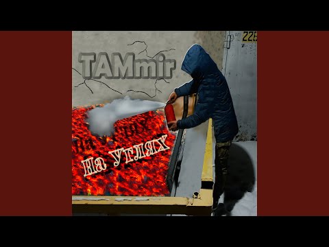 TAMmir - Система видео (клип)