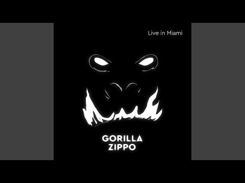 Gorilla Zippo, ANIKV - Danger Angel (Live) видео (клип)