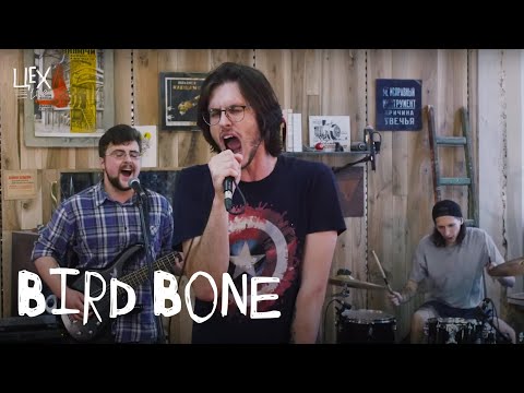 Don't Forget Who I Am, Bird Bone - Счастлив здесь видео (клип)