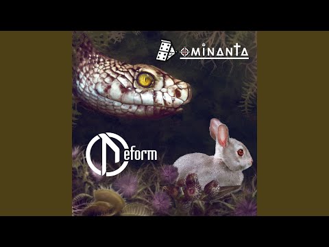 DEFORM - Олимпиада видео (клип)