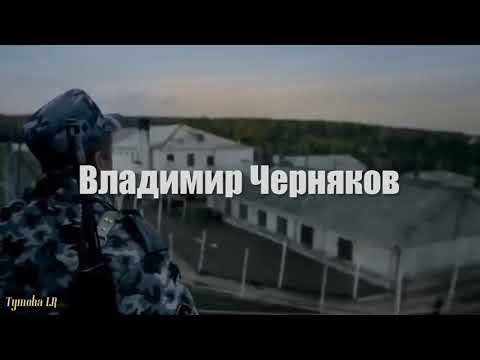 Trueтень, Владимир Черняков - Бродяга видео (клип)