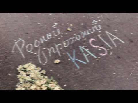 Kasia - Родной прохожий видео (клип)