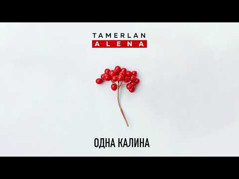 TamerlanAlena - Червона калина видео (клип)