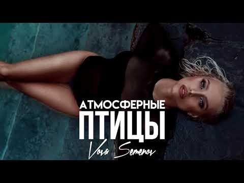 Вова Семенов - Атмосферные птицы видео (клип)