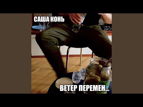 Саша Конь - Ветер перемен видео (клип)