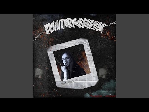 TROUBLEDD - Питомник (Intro) видео (клип)