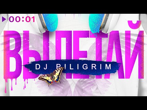 Dj Piligrim - Вылетай видео (клип)