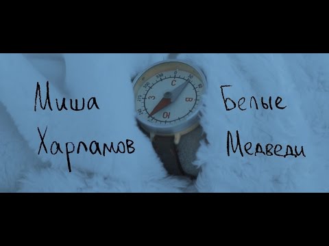 Миша Харламов - Белые медведи видео (клип)