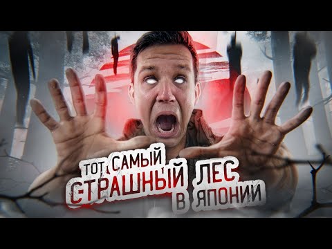 Местные - Лес видео (клип)