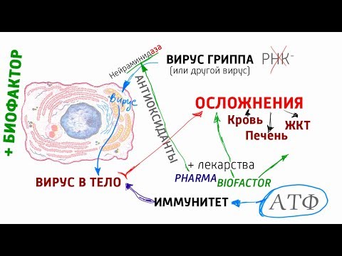 Абрам и Вирус - Лентяй видео (клип)