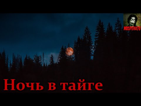 КРОНА, Тайга - Занозы видео (клип)