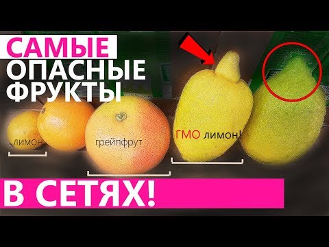 вазэктомия. - Фрукты видео (клип)