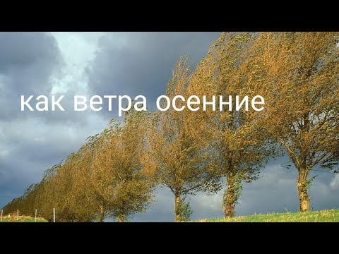 Bel - Как ветра осенние видео (клип)