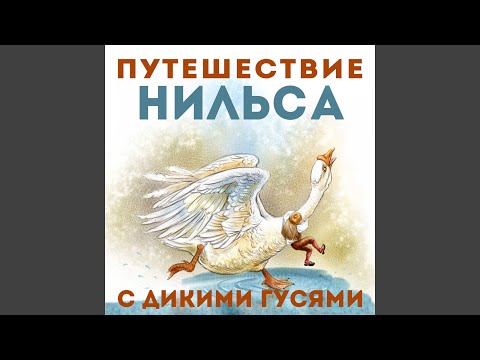 Евгений Весник - Угроза нападения крыс видео (клип)