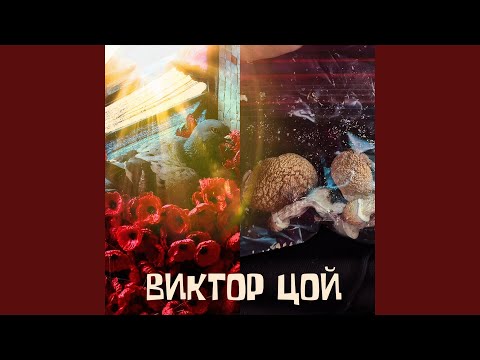 Maar - Виктор Цой видео (клип)