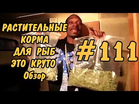 FOOD FOR FISH - Не Сдаваться! видео (клип)