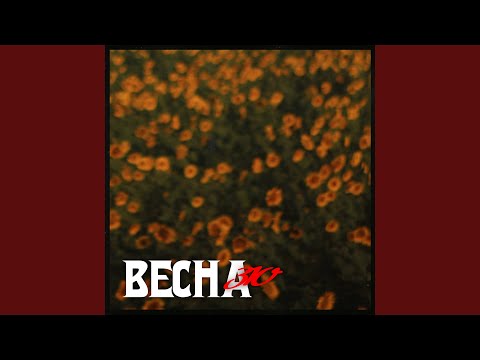 Весна 310 - Пилигрим видео (клип)