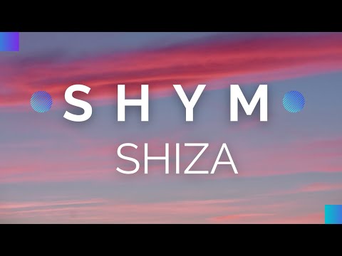 Shiza, Sunshine - Город ночь видео (клип)