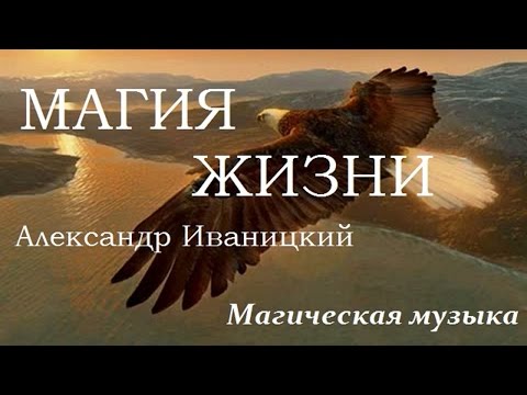 Иваницкий - Дай мне видео (клип)